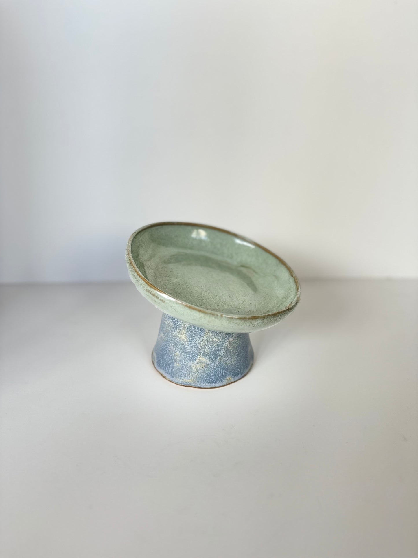 Ergonomic Pet Bowl