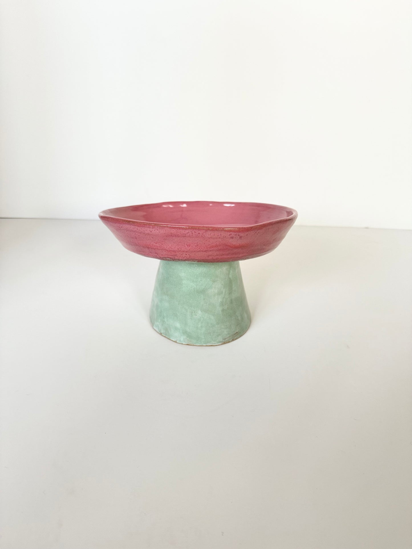 Ergonomic Pet Bowl in Raspberry Coulis Mint