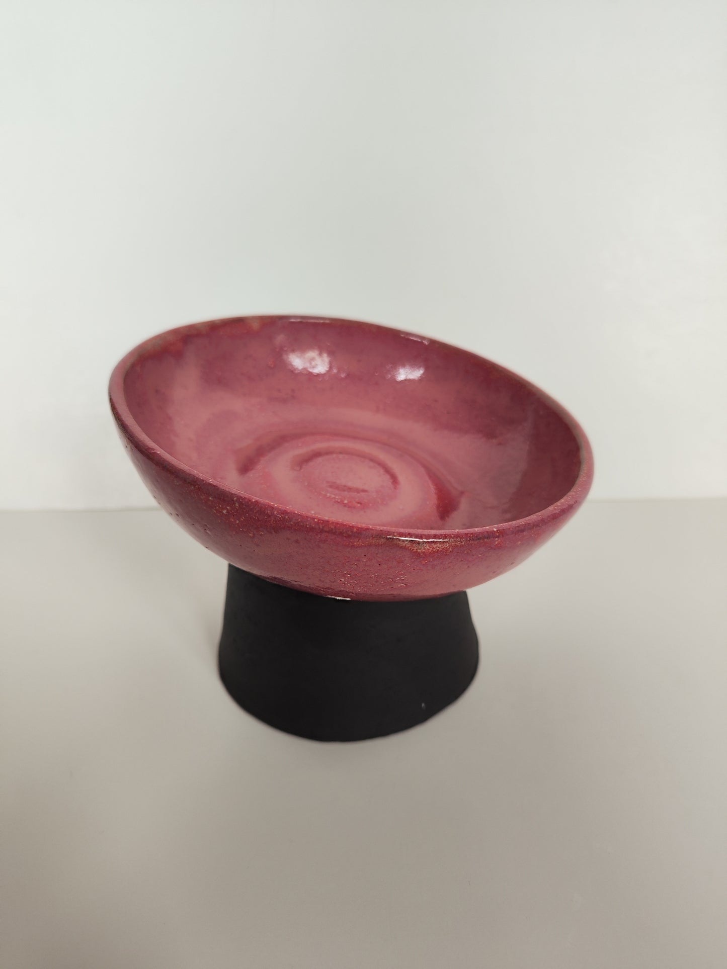 Ergonomic Pet Bowl in Berryliscious