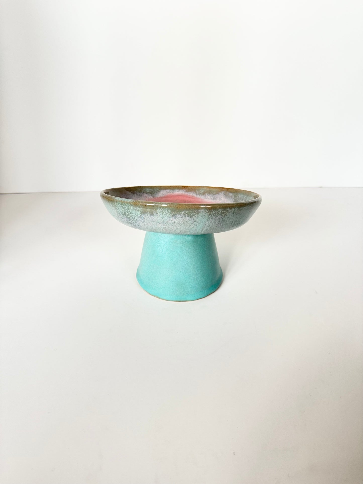 Ergonomic Pet Bowl in Turquoise Delight