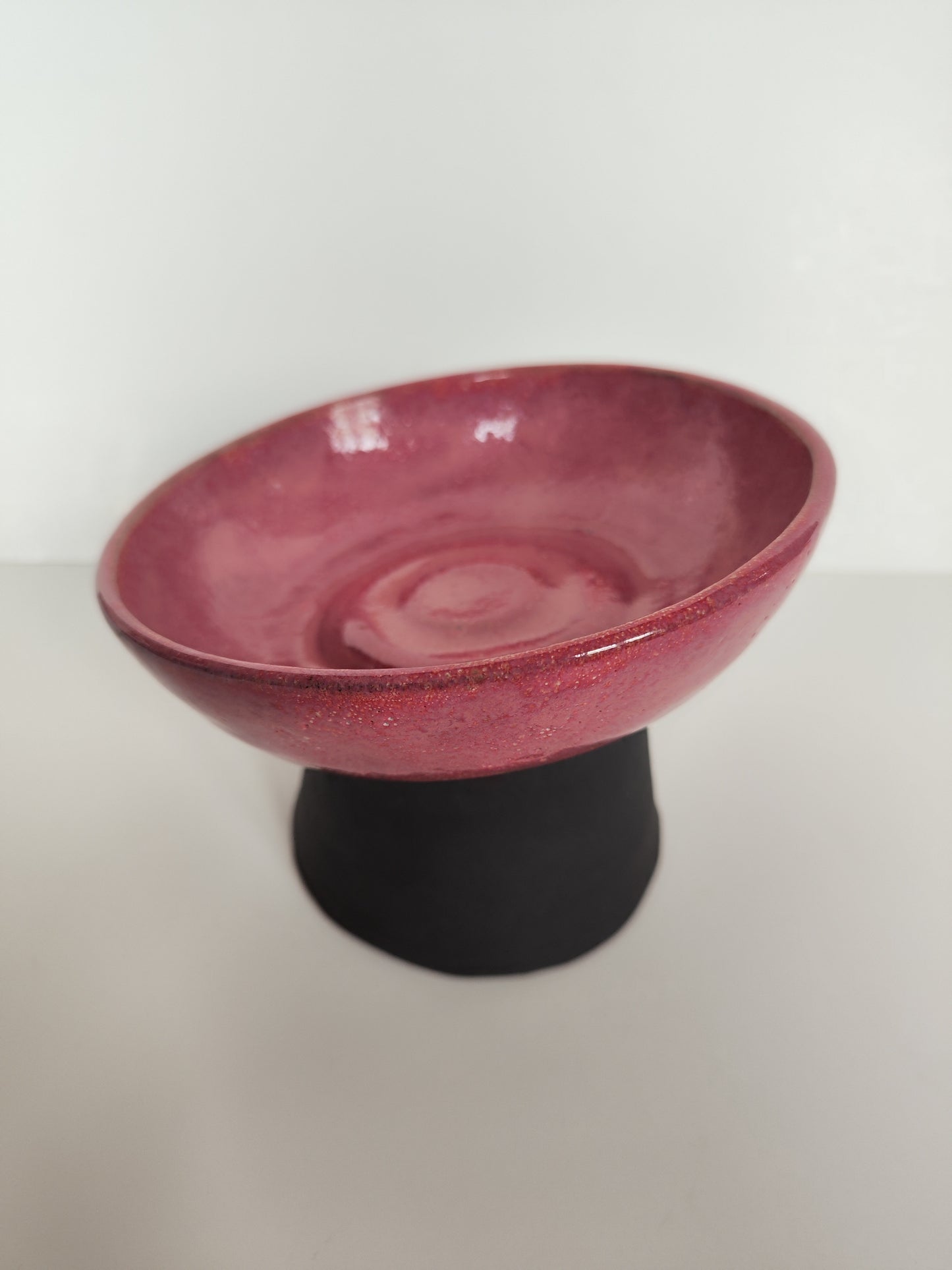 Ergonomic Pet Bowl in Berryliscious