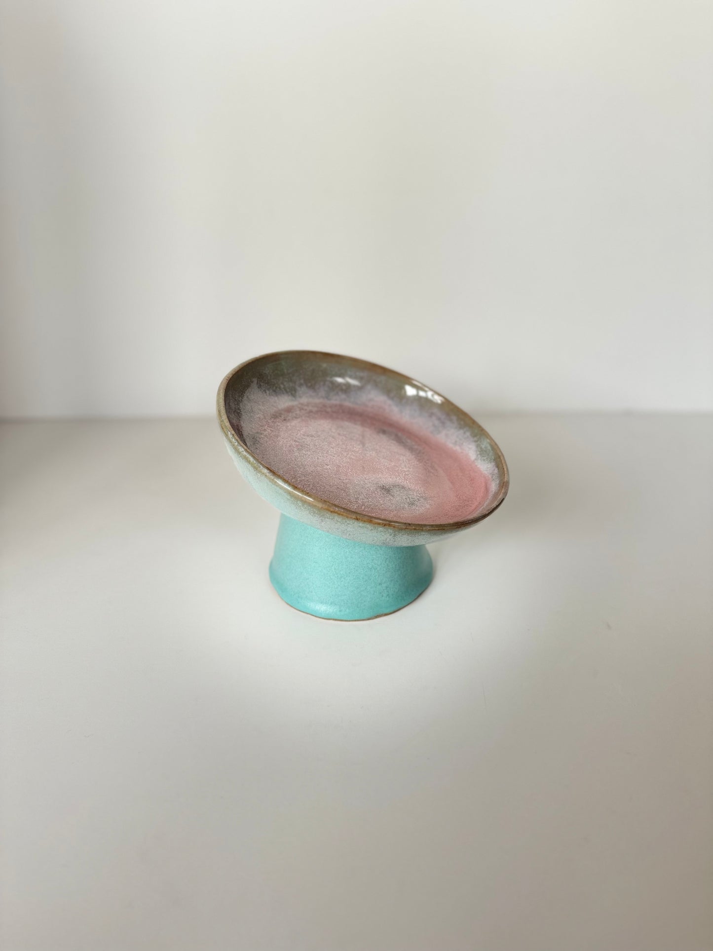 Ergonomic Pet Bowl in Turquoise Delight