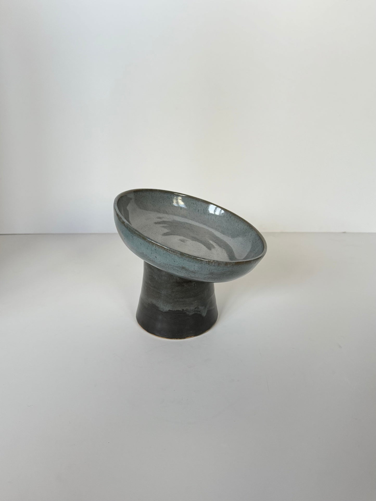 Ergonomic Pet Bowl