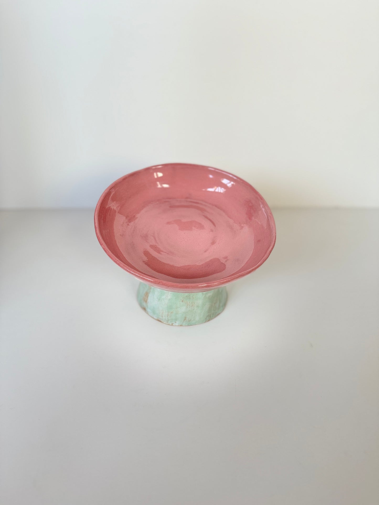 Ergonomic Pet Bowl in Raspberry Coulis Mint