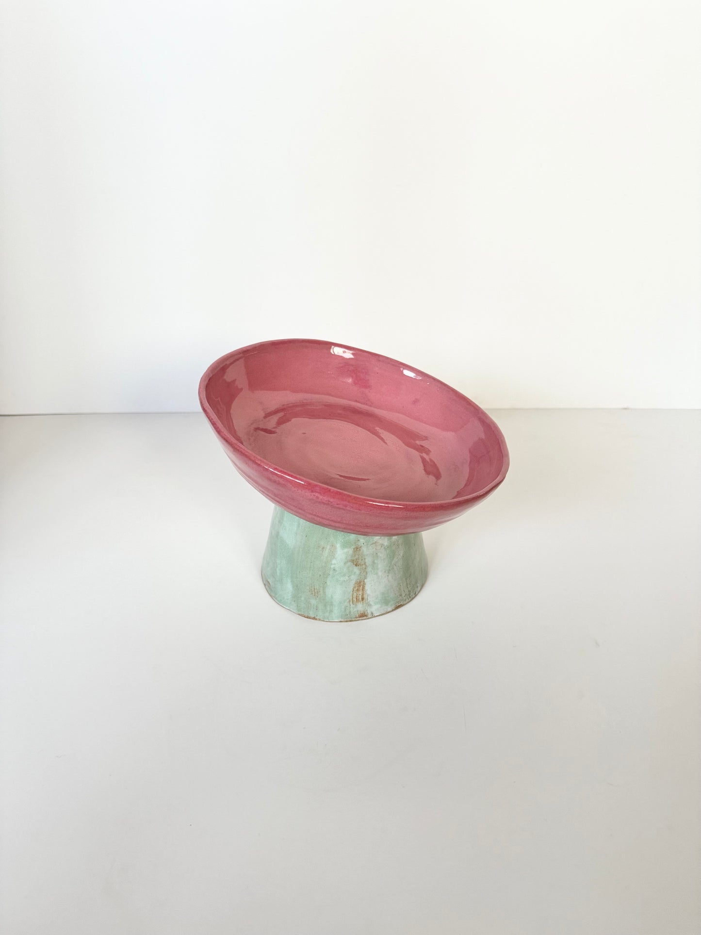 Ergonomic Pet Bowl in Raspberry Coulis Mint