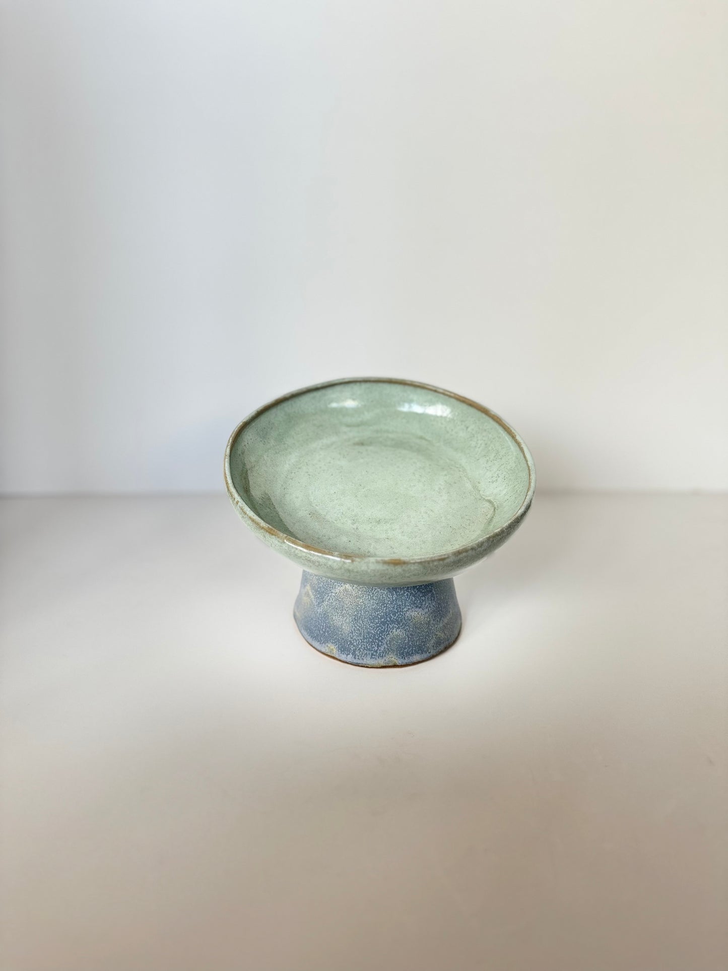 Ergonomic Pet Bowl